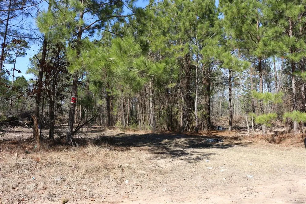 12 Hanson Road Onalaska, TX 77360