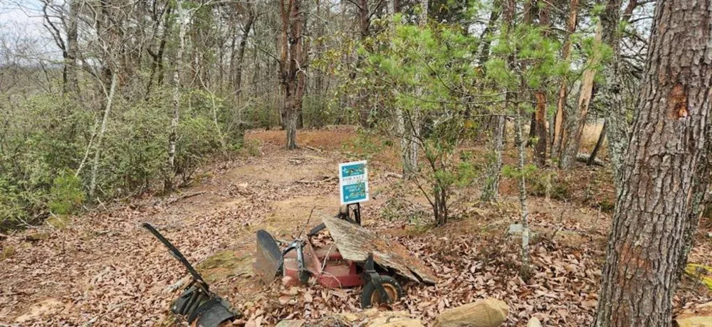 361 Vista Dell Lane Tallulah Falls, GA 30573