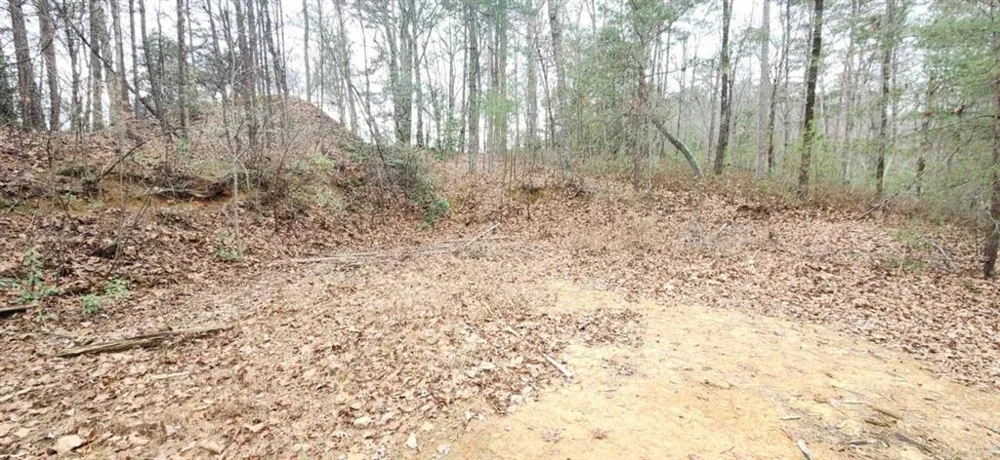 361 Vista Dell Lane Tallulah Falls, GA 30573
