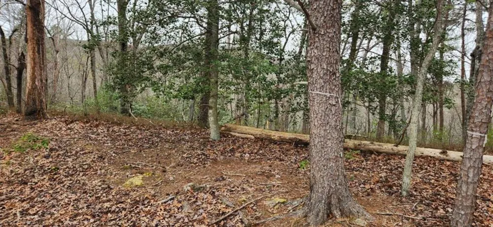361 Vista Dell Lane Tallulah Falls, GA 30573