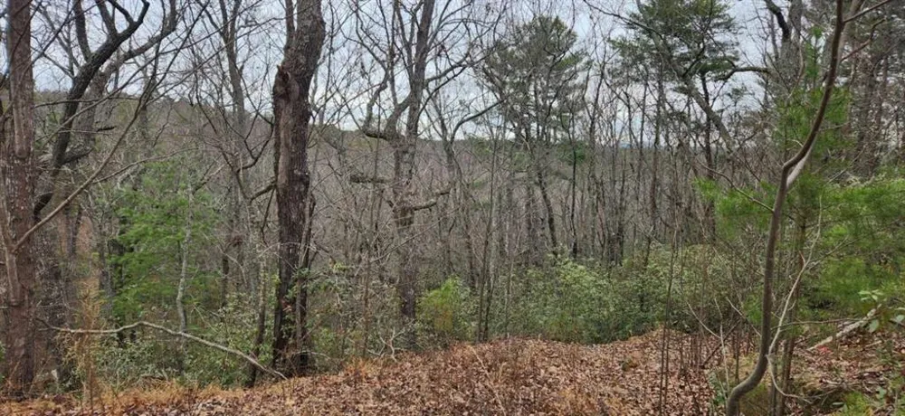 361 Vista Dell Lane Tallulah Falls, GA 30573