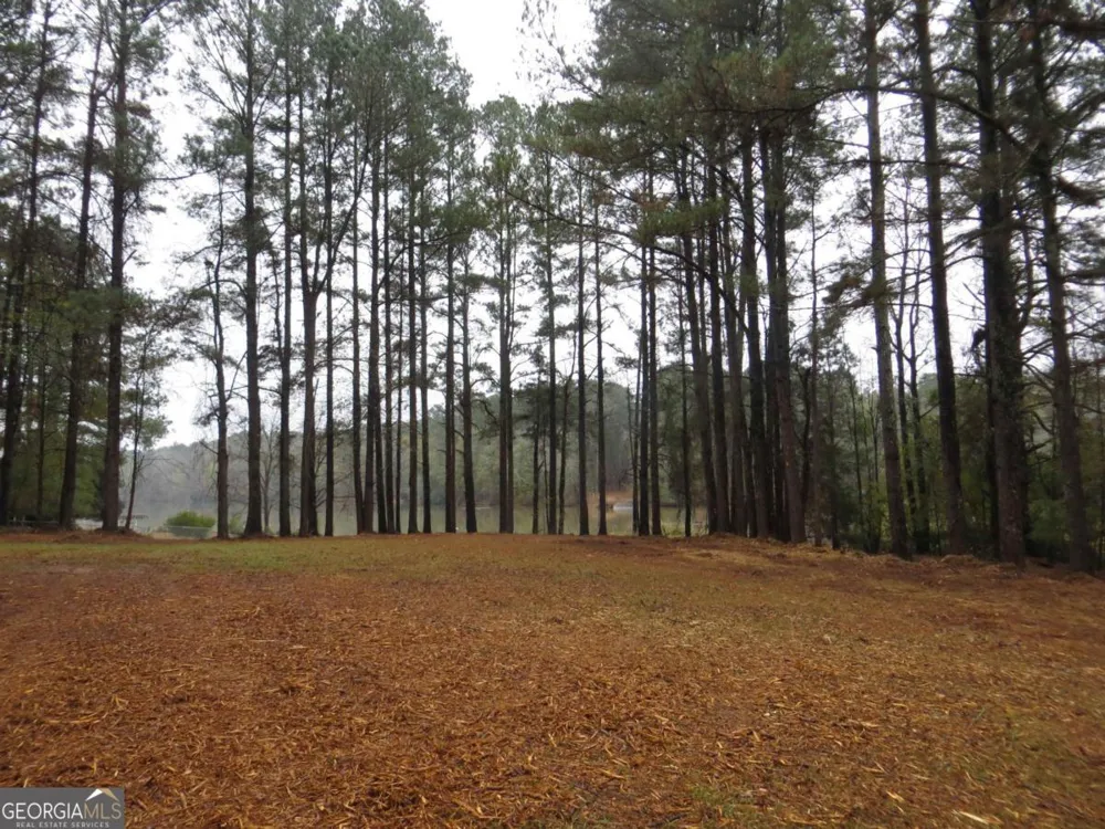 LOT 10 Sugar Creek TRL Buckhead, GA 30625