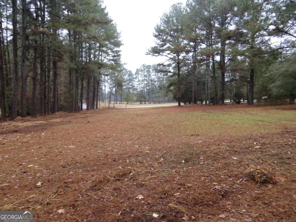 LOT 10 Sugar Creek TRL Buckhead, GA 30625