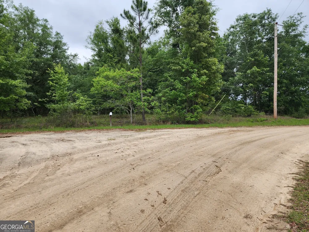 0 SOUTHWEST DR Donalsonville, GA 39845