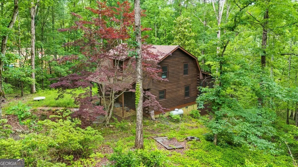15 Bailey ST Whitesburg, GA 30185