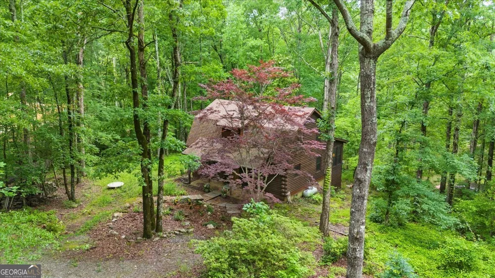 15 Bailey ST Whitesburg, GA 30185