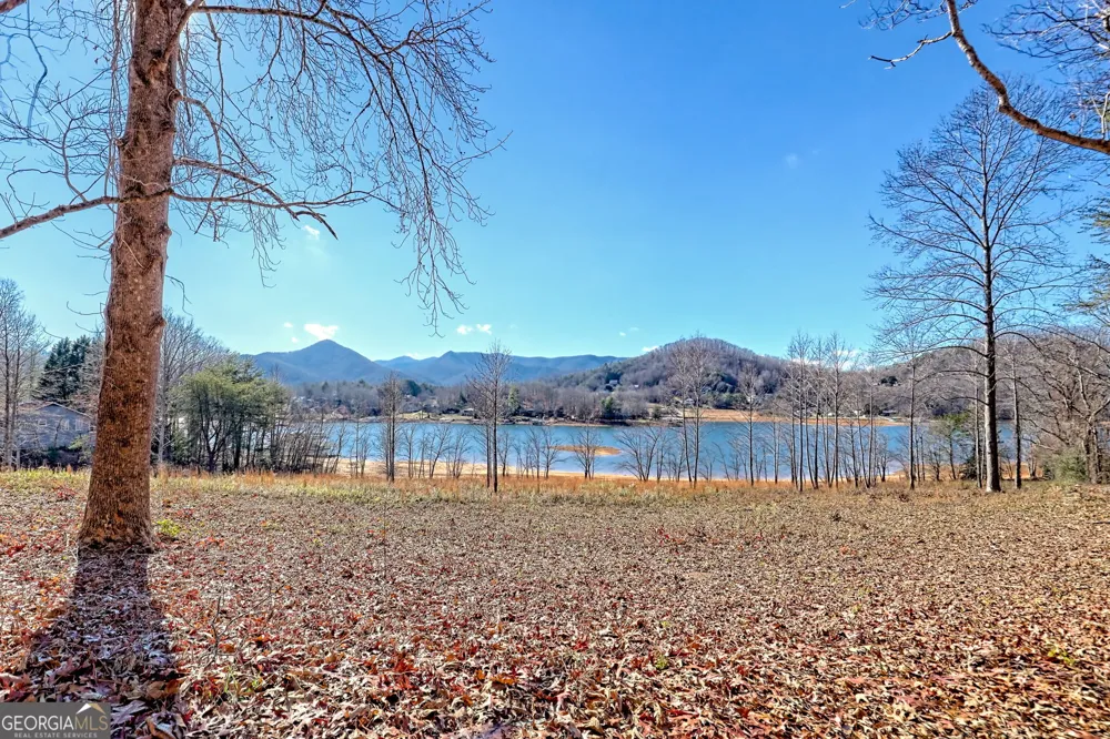 314 Lakeside DR Hiawassee, GA 30546