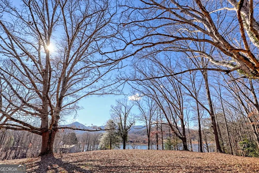314 Lakeside DR Hiawassee, GA 30546