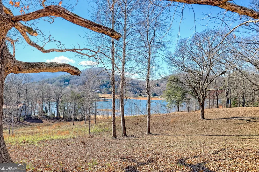 314 Lakeside DR Hiawassee, GA 30546