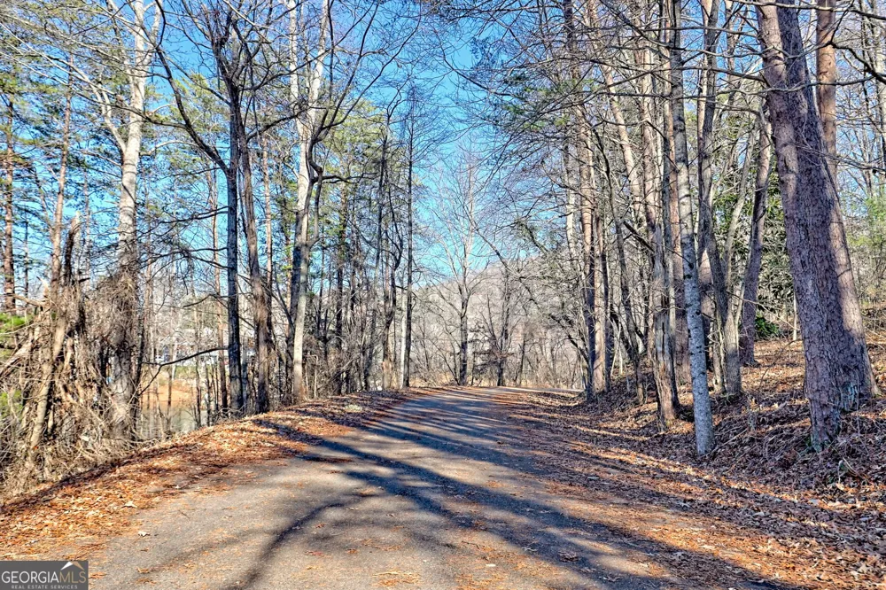 314 Lakeside DR Hiawassee, GA 30546