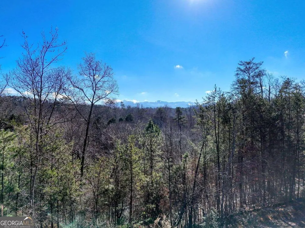 2567 Todd Shook RD Young Harris, GA 30582
