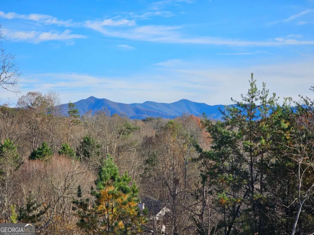 2567 Todd Shook RD Young Harris, GA 30582