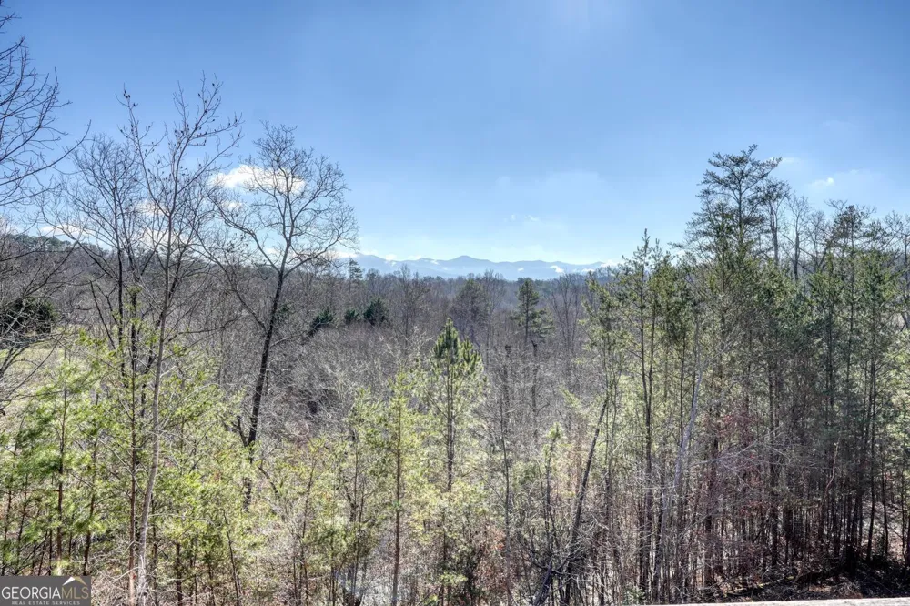 2567 Todd Shook RD Young Harris, GA 30582