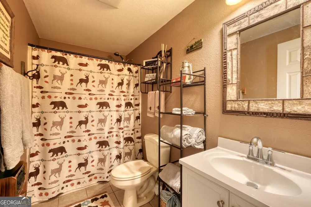 2567 Todd Shook RD Young Harris, GA 30582