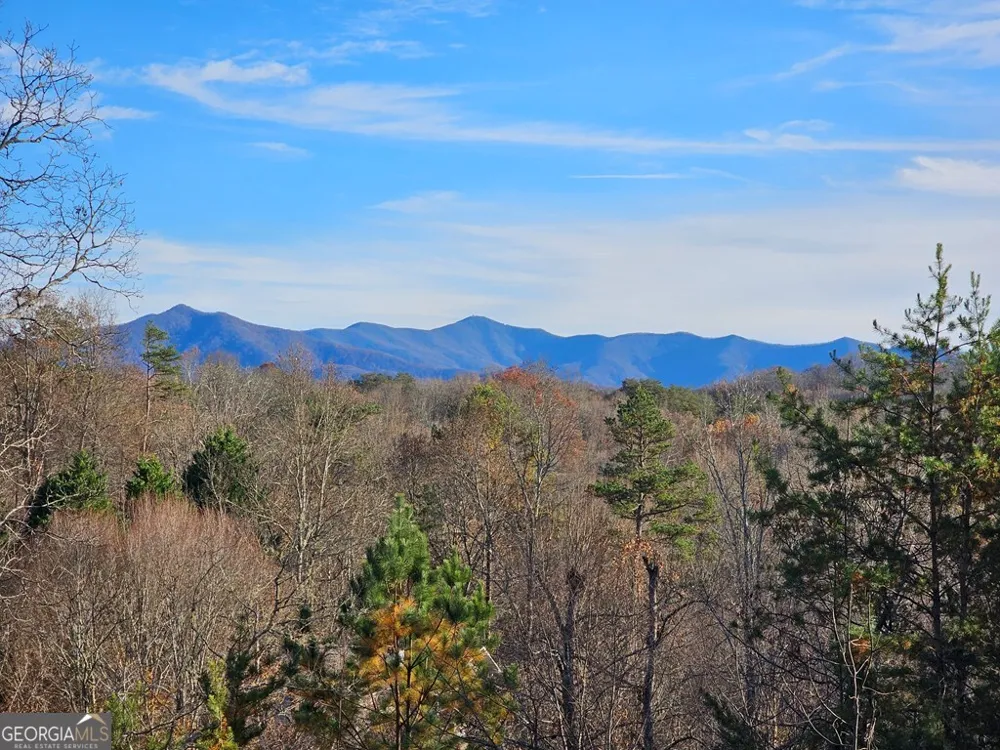 2567 Todd Shook RD Young Harris, GA 30582
