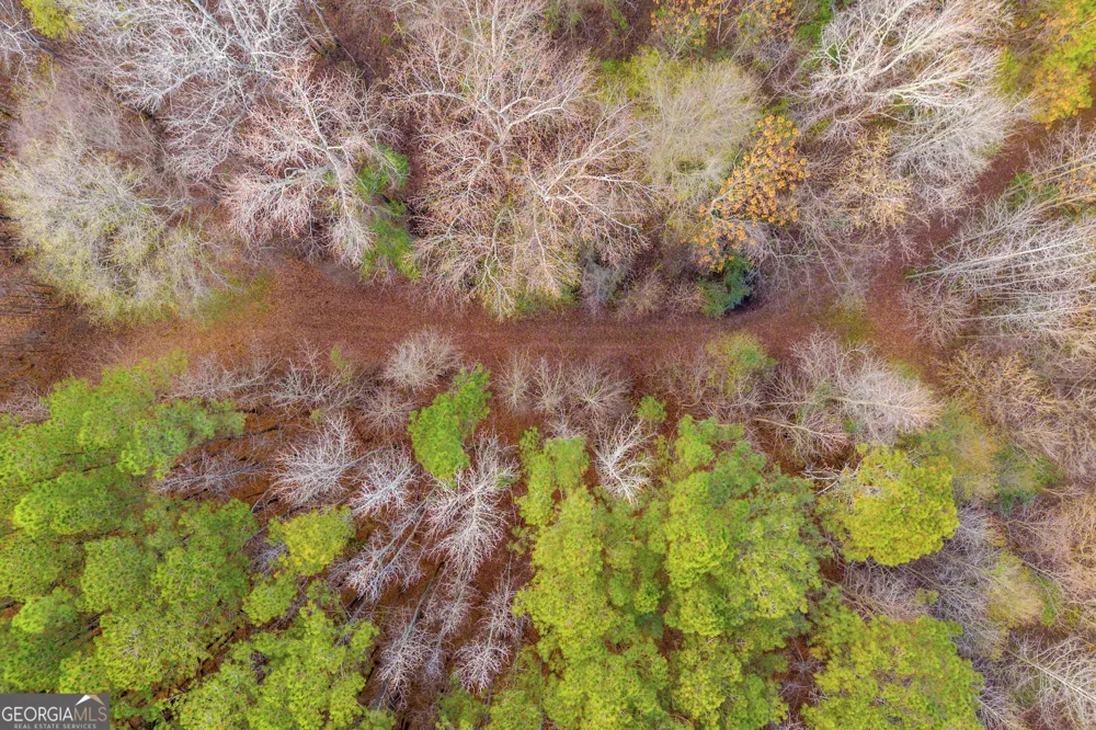 375 Hwy 78 Monroe, GA 30655