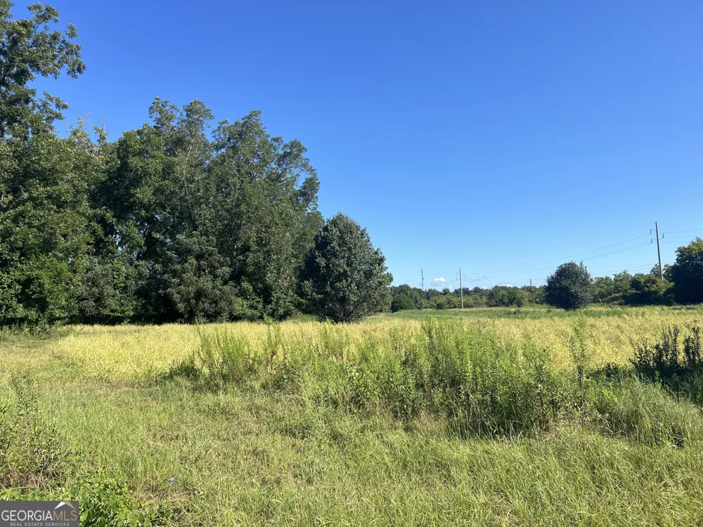0 Industrial BLVD Hawkinsville, GA 31036