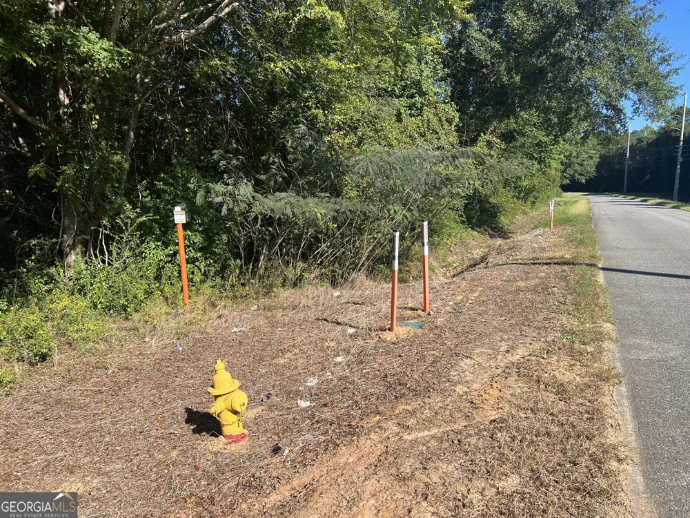 0 Industrial BLVD Hawkinsville, GA 31036