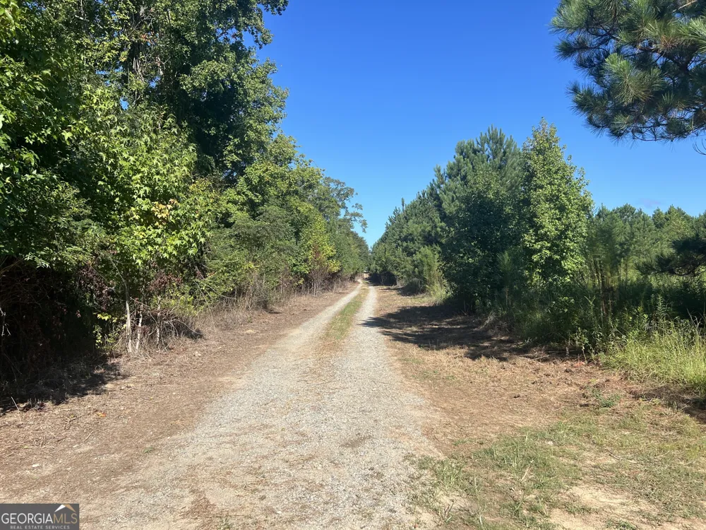 0 Industrial BLVD Hawkinsville, GA 31036