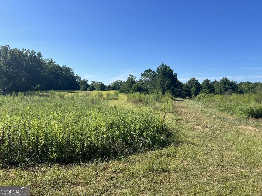 0 Industrial BLVD Hawkinsville, GA 31036