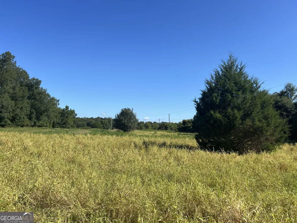 0 Industrial BLVD Hawkinsville, GA 31036