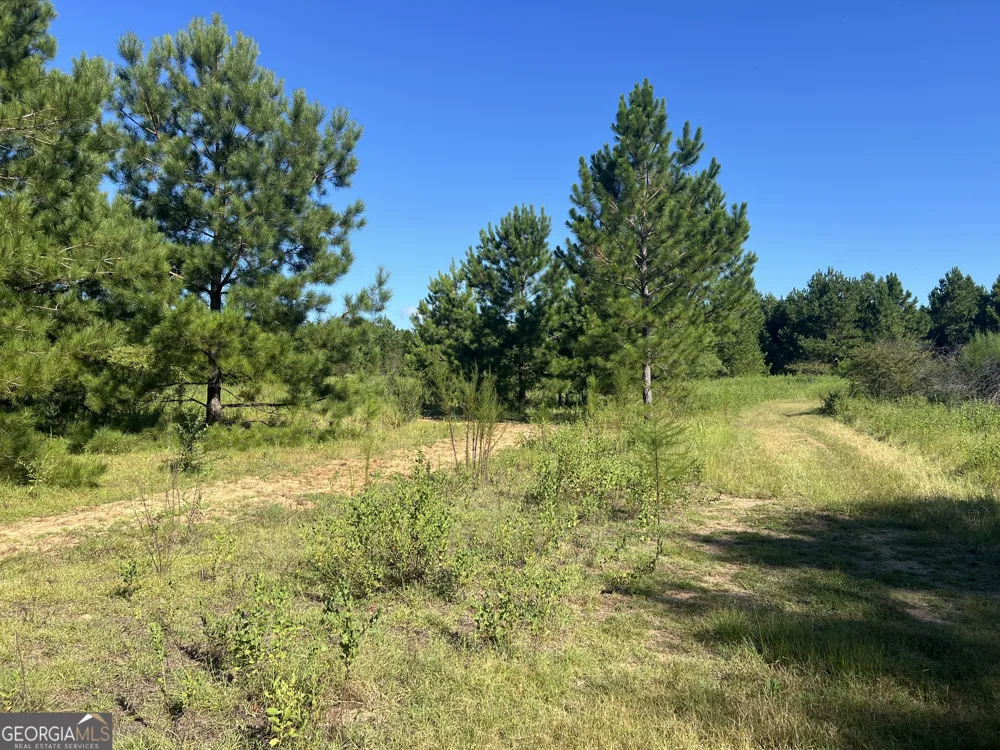 0 Industrial BLVD Hawkinsville, GA 31036