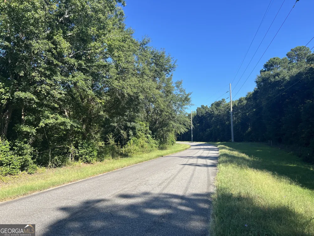 0 Industrial BLVD Hawkinsville, GA 31036
