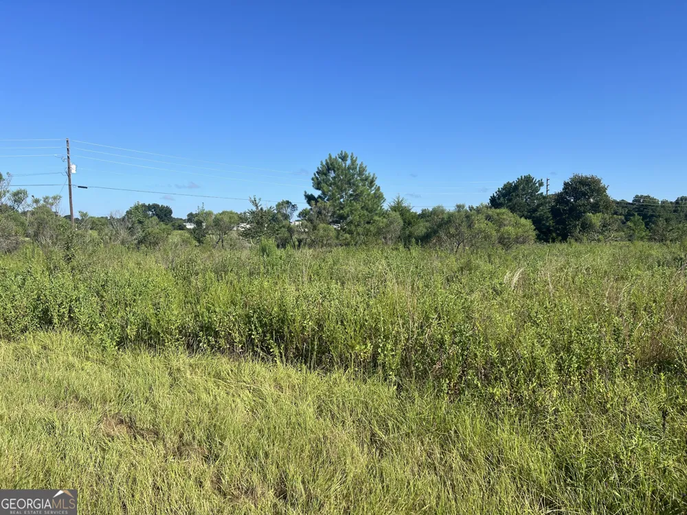 0 Industrial BLVD Hawkinsville, GA 31036