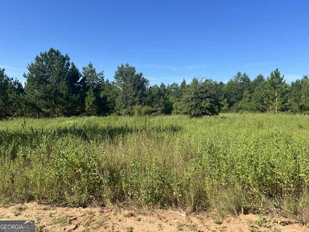 0 Industrial BLVD Hawkinsville, GA 31036