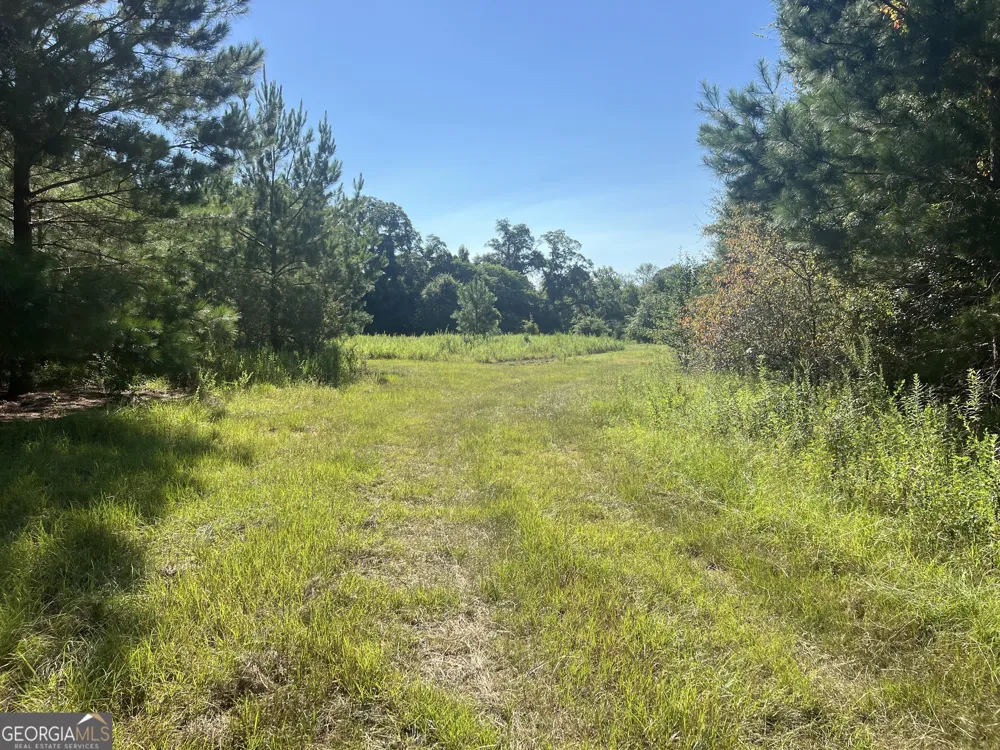 0 Industrial BLVD Hawkinsville, GA 31036