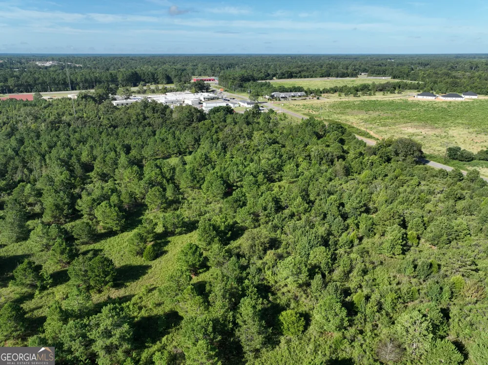 0 Industrial BLVD Hawkinsville, GA 31036