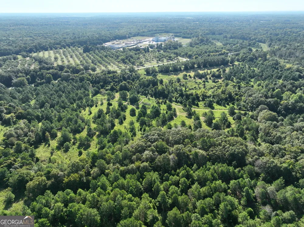 0 Industrial BLVD Hawkinsville, GA 31036