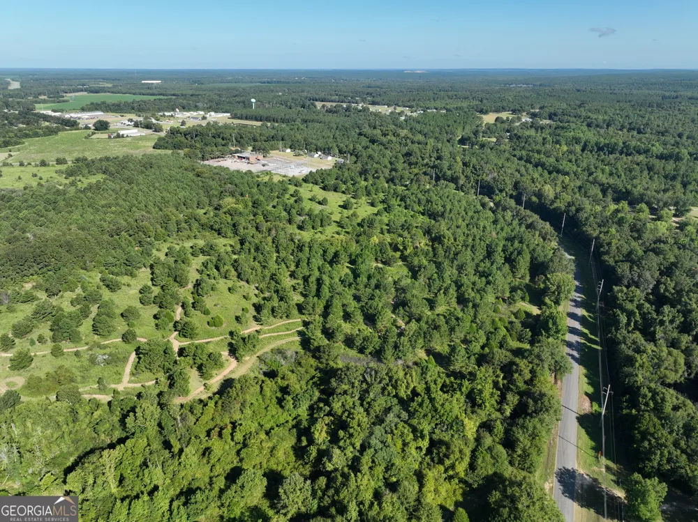 0 Industrial BLVD Hawkinsville, GA 31036