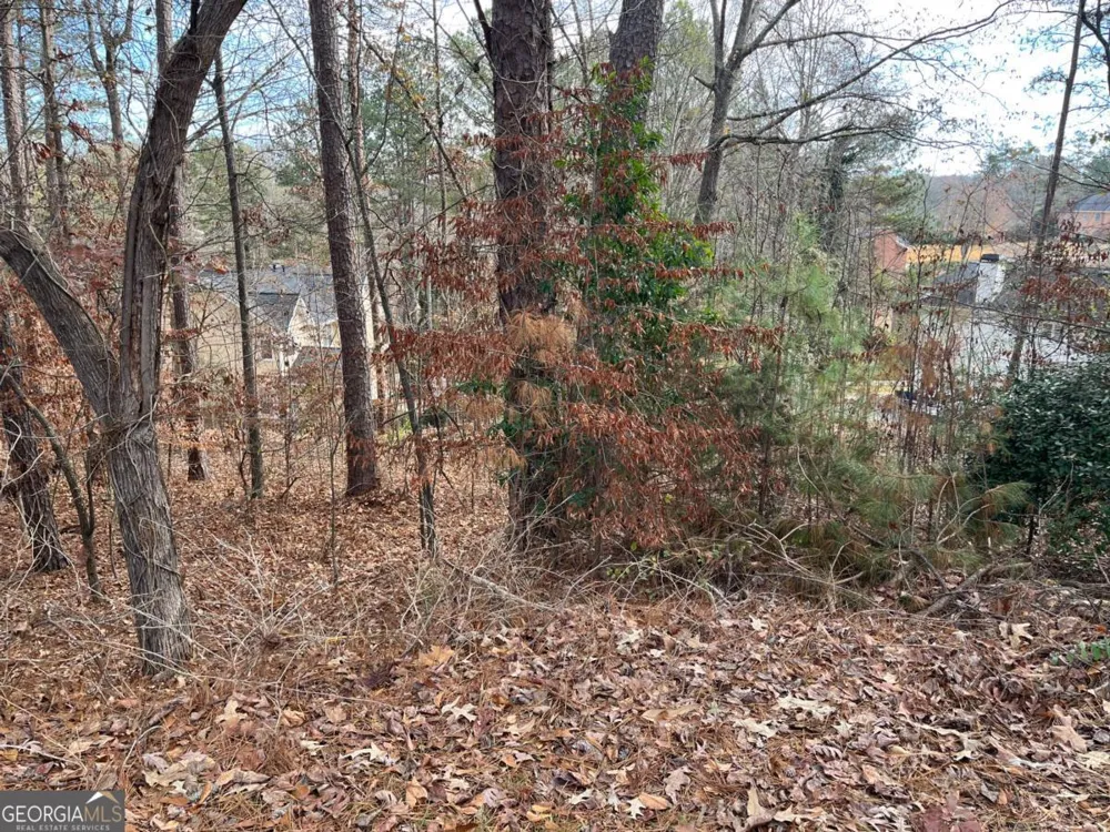 1120 Carlo CT South Fulton, GA 30331