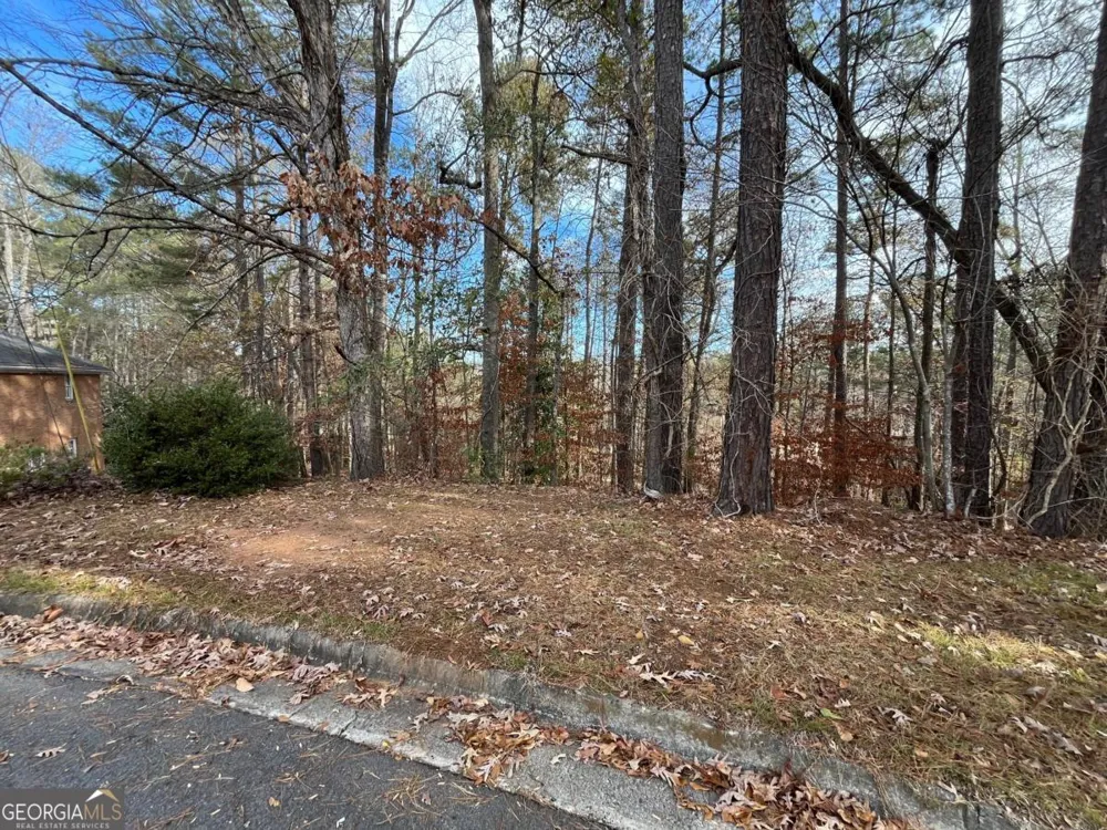 1120 Carlo CT South Fulton, GA 30331