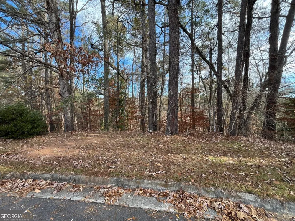 1120 Carlo CT South Fulton, GA 30331