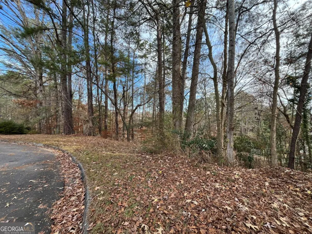 1120 Carlo CT South Fulton, GA 30331