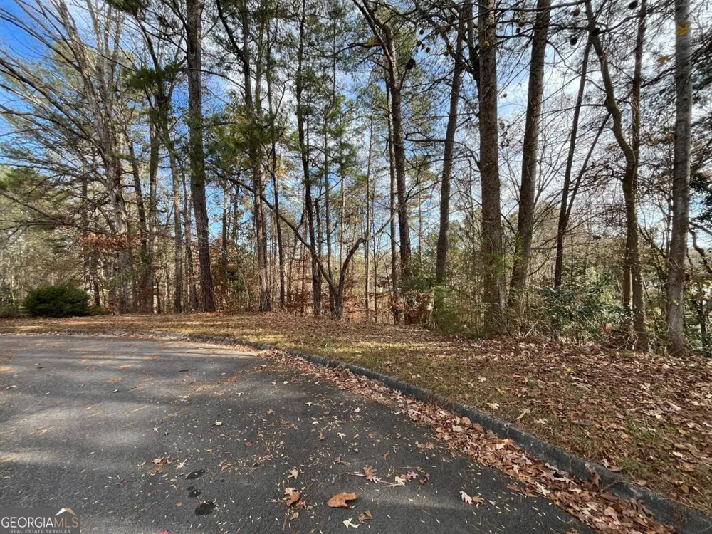 1120 Carlo CT South Fulton, GA 30331