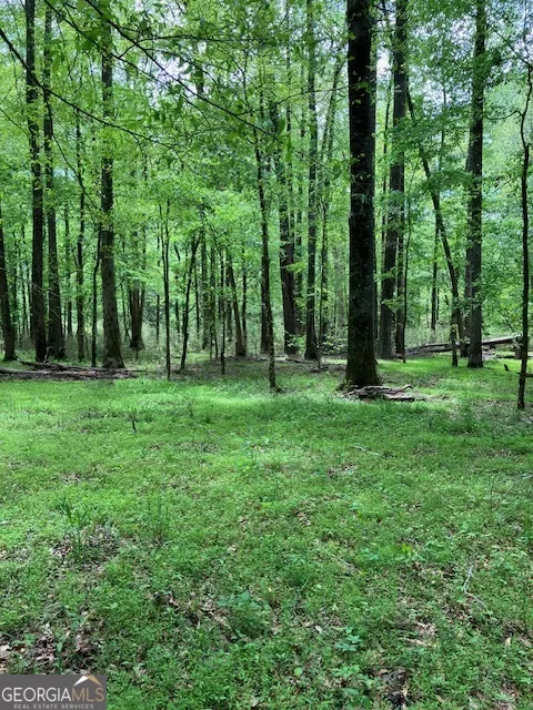 310 Philomath Woodville RD Rayle, GA 30660