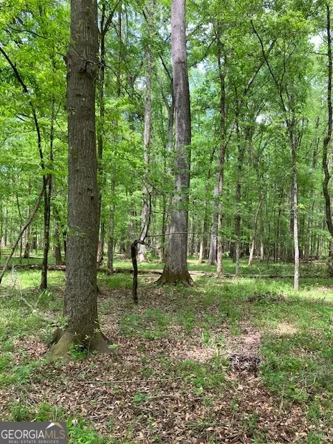 310 Philomath Woodville RD Rayle, GA 30660