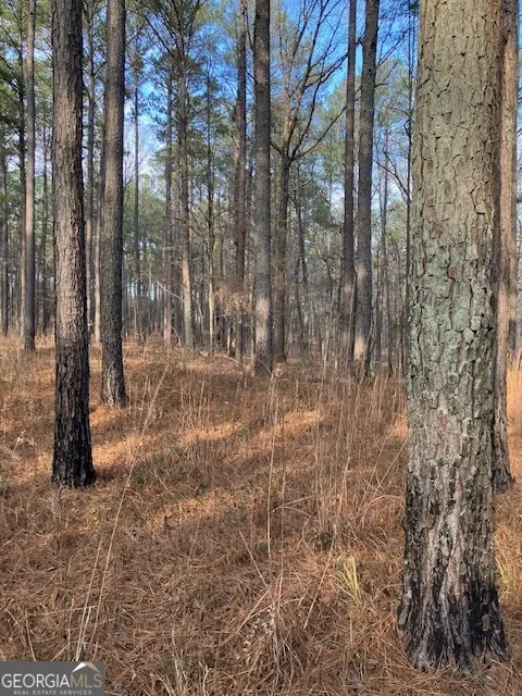 310 Philomath Woodville RD Rayle, GA 30660