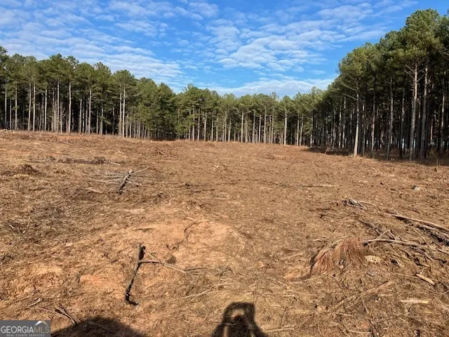 310 Philomath Woodville RD Rayle, GA 30660