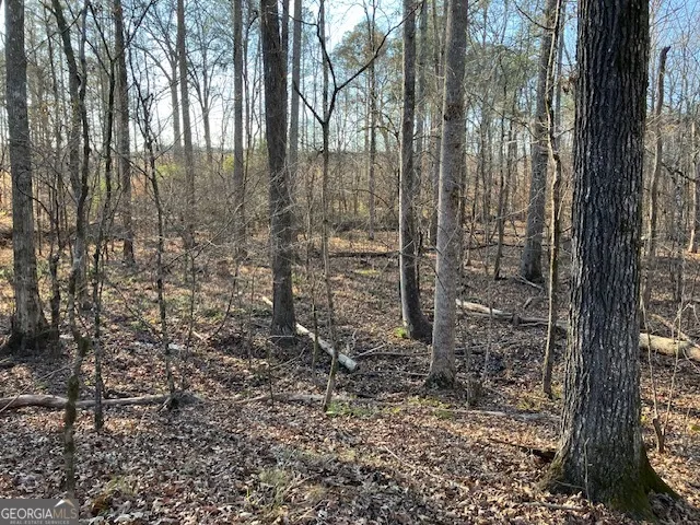 310 Philomath Woodville RD Rayle, GA 30660