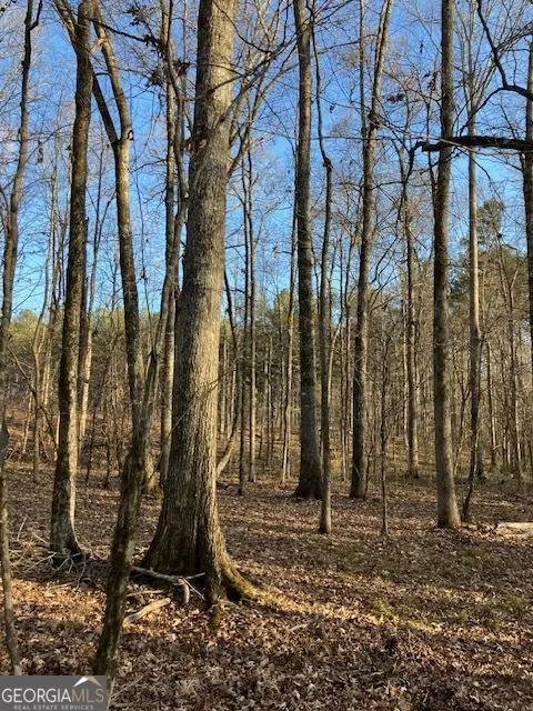 310 Philomath Woodville RD Rayle, GA 30660