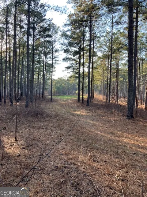 310 Philomath Woodville RD Rayle, GA 30660