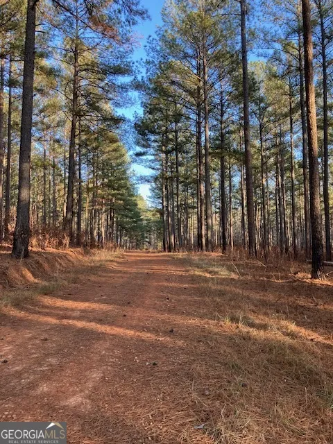 310 Philomath Woodville RD Rayle, GA 30660