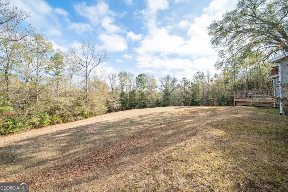 161 Calhoun RD Hamilton, GA 31811