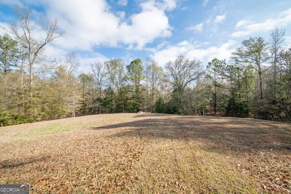 161 Calhoun RD Hamilton, GA 31811