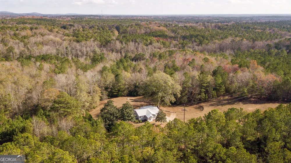161 Calhoun RD Hamilton, GA 31811