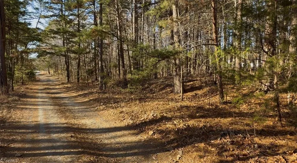 0 First Park Avenue Randleman, NC 27317